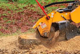 Best Seasonal Cleanup (Spring/Fall)  in San Marino, CA