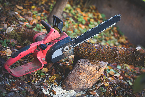 Best Soil Testing and Treatment  in San Marino, CA
